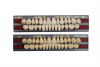 Зубы акриловые NEW ACE / NAPERCE /GLORIA/ A1, фронт. T4 / L4 / M30, 28 шт. /гарнитур/, YAMAHACHI