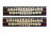 Зубы акриловые NEW ACE / NAPERCE /GLORIA/ A1, фронт. T1 / L2 / M30, 28 шт. /гарнитур/, YAMAHACHI