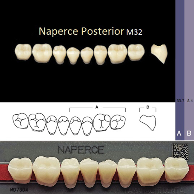 Зубы акриловые NAPERCE POSTERIOR GLORIA A4, жевательные низ M32, 1 планка /8 шт./, YAMAHACHI